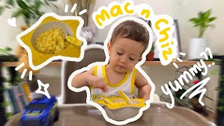Healthy Mac and Cheese with Hidden Vegetables | Toddler Meal Ideas | Kids favourite