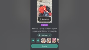How To Use AI Photo for Food Logging in the Levels App