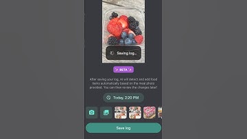 How To Use AI Photo for Food Logging in the Levels App