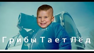 Грибы Тает Лёд / кавер /пародия / наша версия