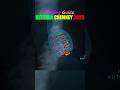 Auto Clean Kitchen Chimney #kharidoindia #chimney #shorts