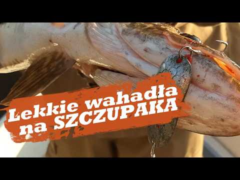 Light pike spoons – how to catch pike in shallow water?