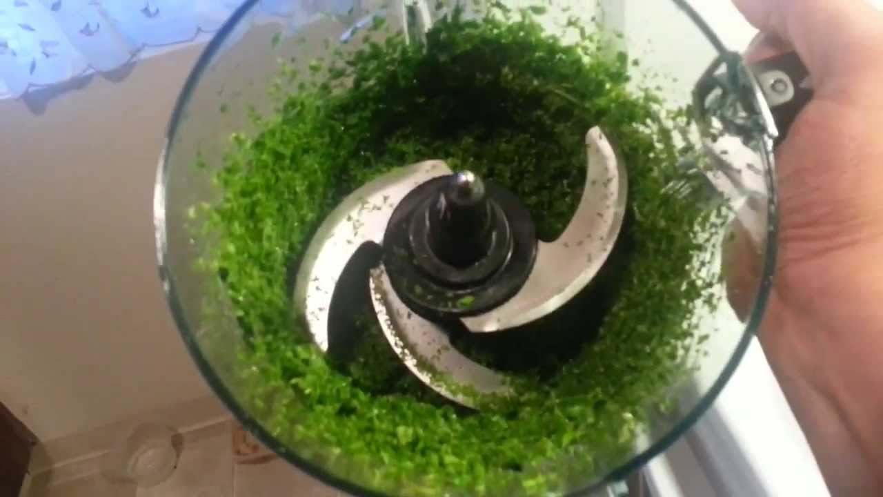 cilantro in vegetable chopper｜TikTok Search