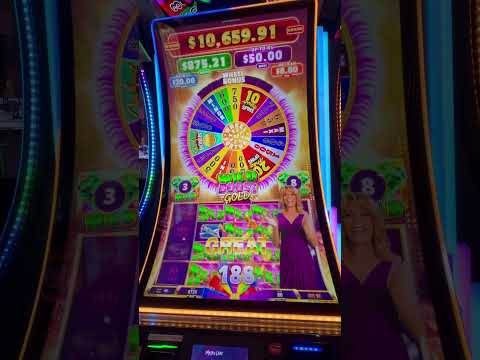Seminole Hard Rock Hollywood, FL March 2024