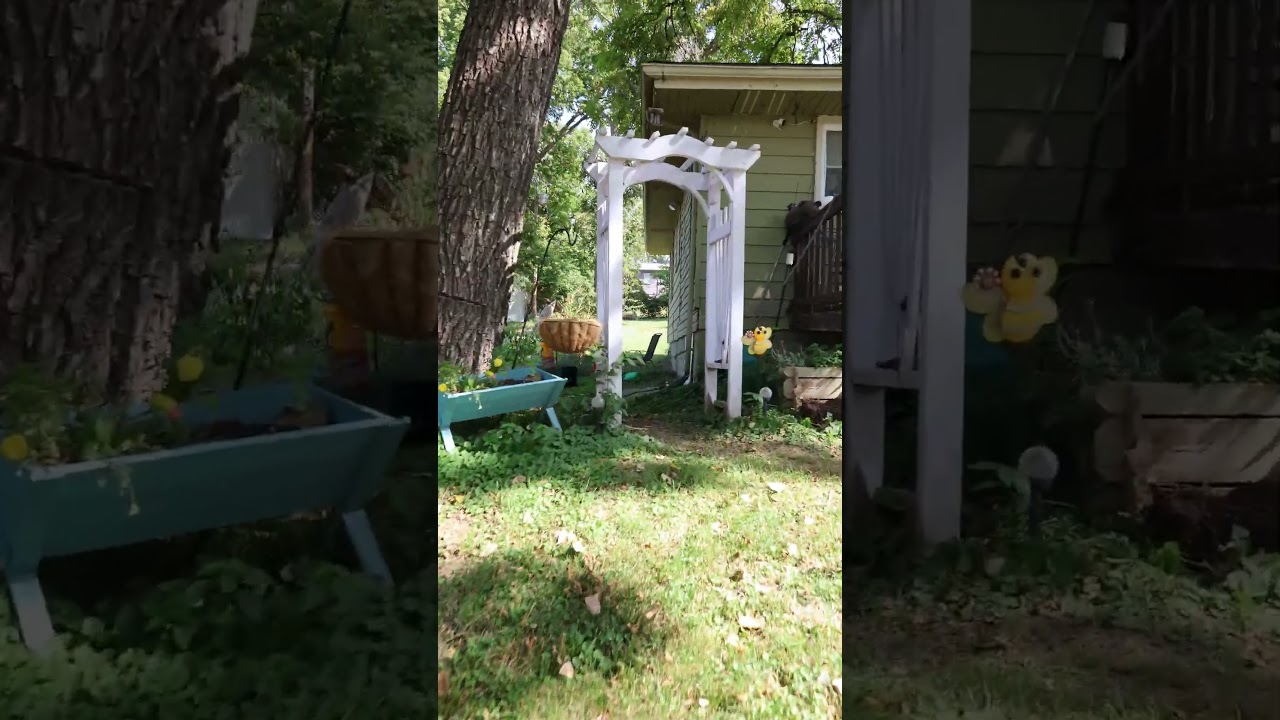 Do Missouri Tenants Have A Voice? OSPM Did Us Wrong 