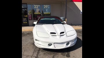 Trans am ls1 vs cobalt ss turbo