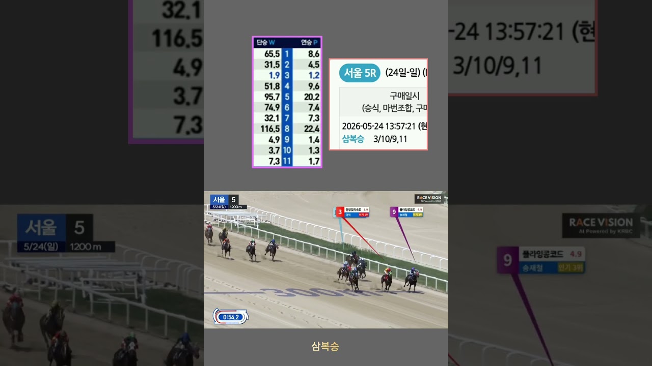 [경마] 인기마들의 순위다툼 !