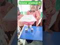Science practical activity #trending #shorts #school #schoolactivity #sciencefacts #cute