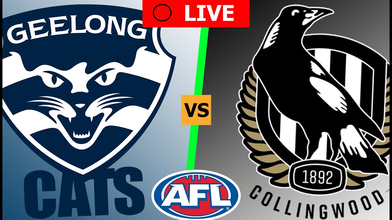GEELONG vs COLLINGWOOD ROUND 1 // AFL 2023 Live Stream
