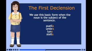 Multimedia Object Demo