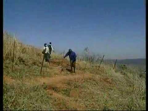 Tunnel Vision - South Africa (2008)