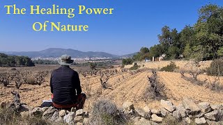 Nature Heals - Engaging with Nature to Help with Grief