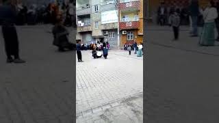 Duyuları Cide Köyü Düğüne