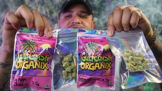 Trying Some Florida Indoor Living Soil Flower!! | Gulfcoast Organix Cannabis Review