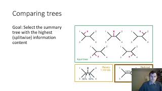 Celebrity Using information theory to detect rogue taxa and improve consensus trees Profile
