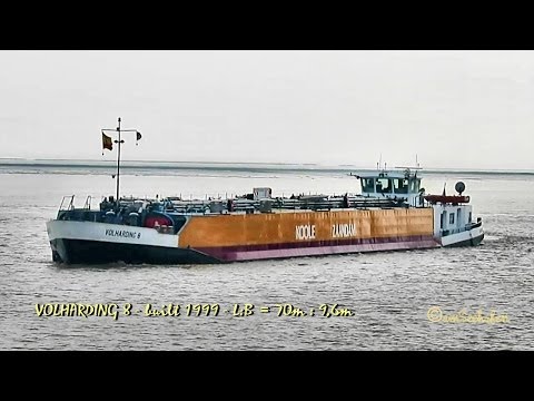 TMS VOLHARDING 8