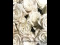 Color Grading Flowers Before And After (ADOBE AFTER EFFECTS)
