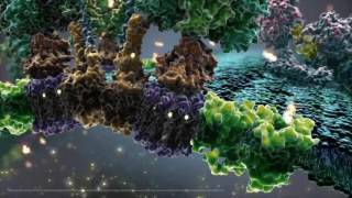 Eric Haseltine What will be the next big scientific breakthrough?