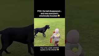 This is the cutest unsolved mystery on the internet 😂