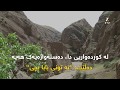 تونی بابا