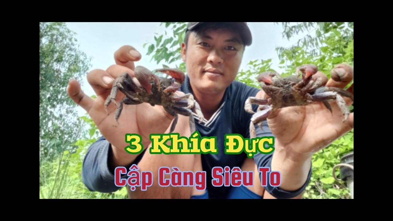 Đặt RẬP 3 KHÍA Trong Những Ngày Giông Bão phần tiếp theo - YouTube
