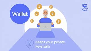 Crypto Owl - How to choose the right crypto wallet