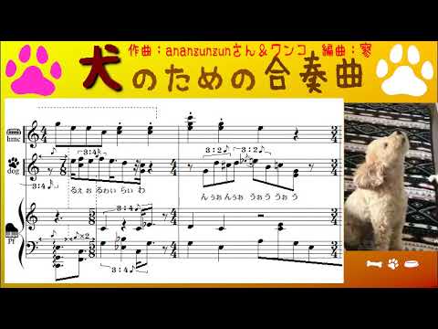 犬の歌声を採譜して伴奏つけてみた - ananzunzunさん＆犬・作曲
