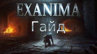 Тактика убийство огра на Мастере (гайд) |Exanima|