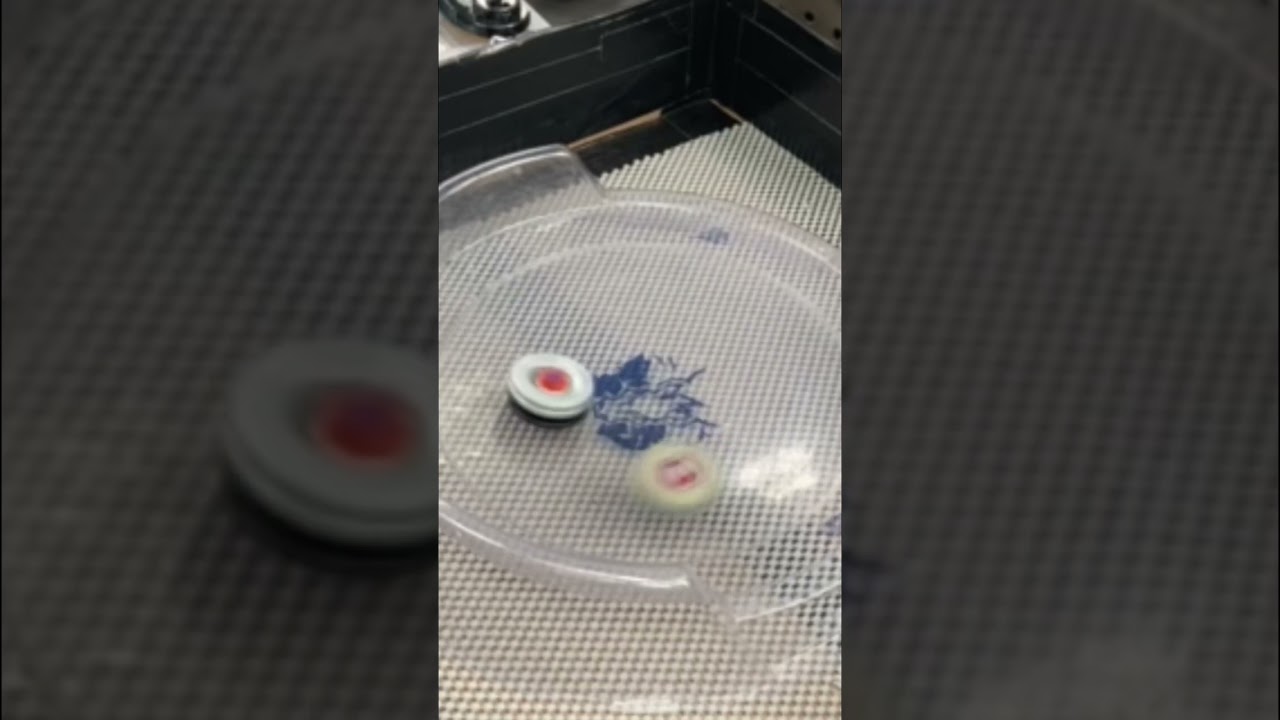 Wyvang Wyvang BD145 RDF vs Begirados Dragooon 100 RF 