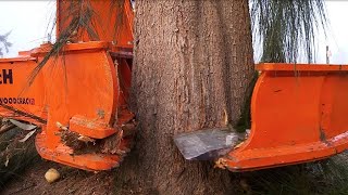 Dangerous Biggest Tree Cutting Long Reach Excavator Skill , Tree Harvesting Machine Heavy Equipment