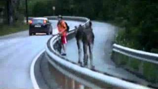 vUniqueSight.wmv