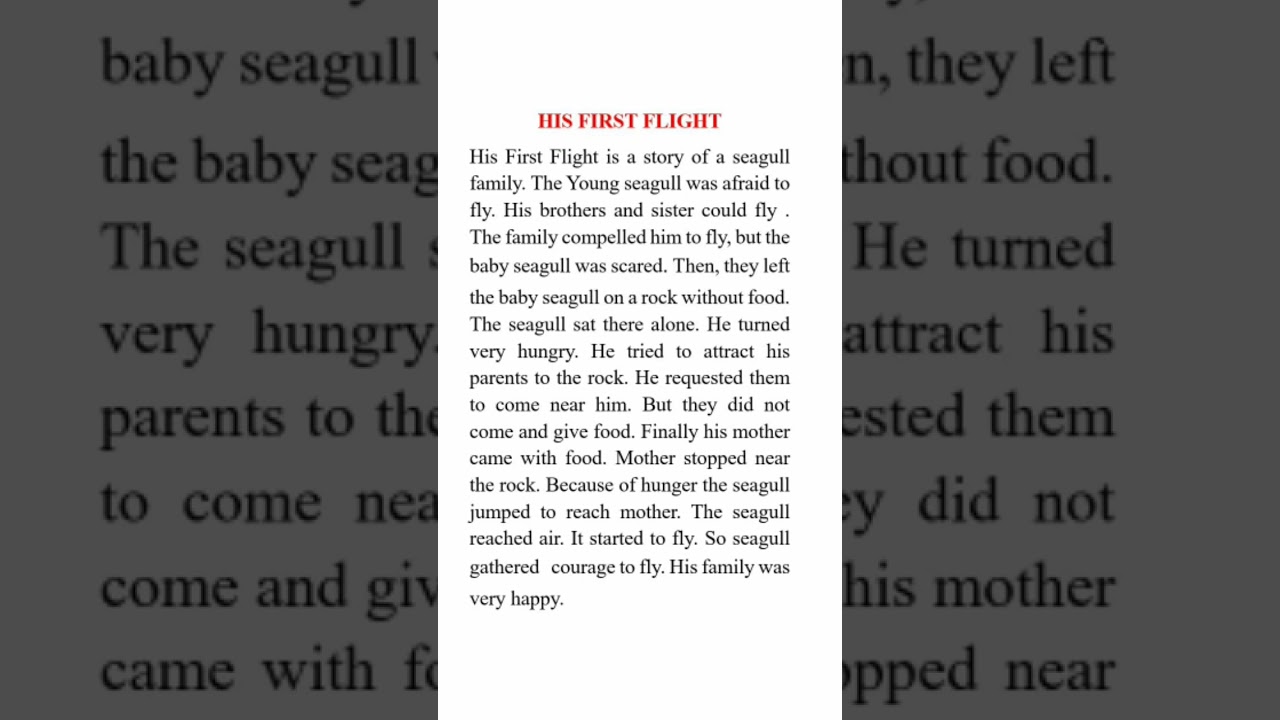 Plus One English - His First Flight - Chapter Summary