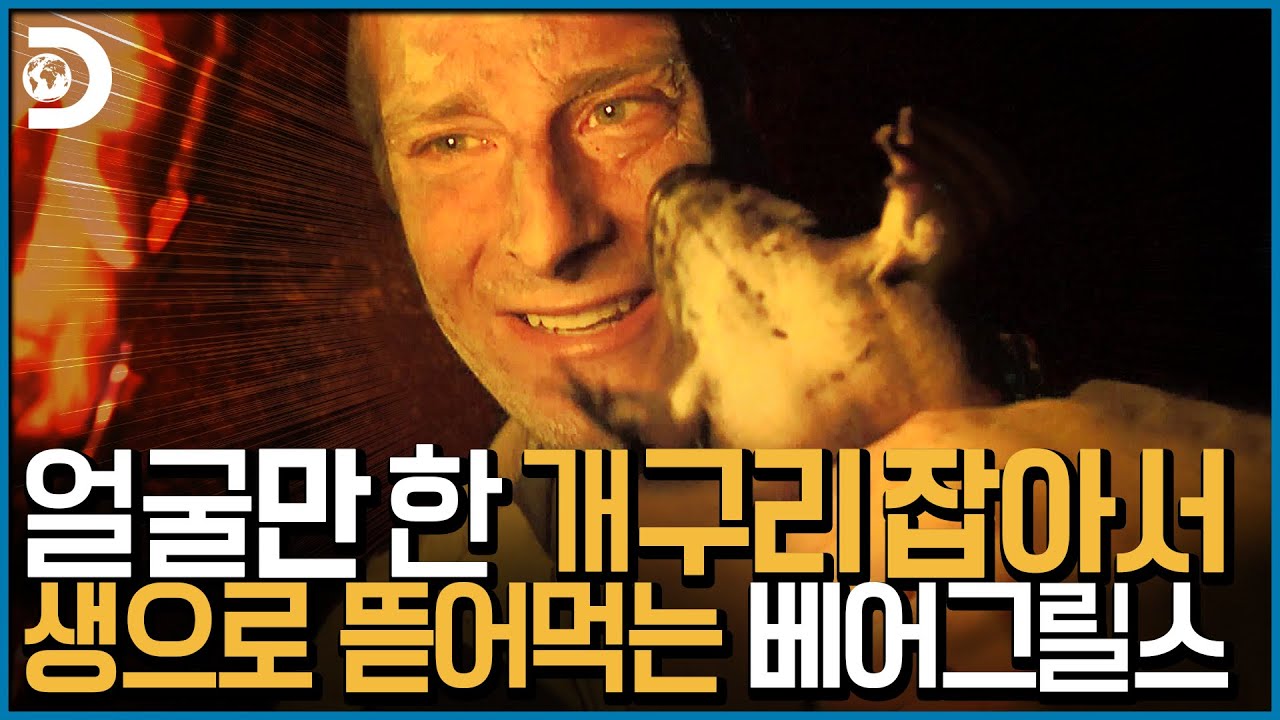 ?뚝뚝뚝! 같이 개구리 먹을래~?? 생으로 뜯어도 좋아~♪⛄ 베어그릴스의 개구리 먹방 [Man vs Wild]
