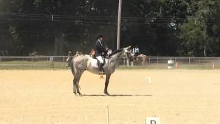 Gloucester County 4-H Fair, July 23, 2015