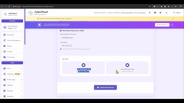 cyberpanel dns management