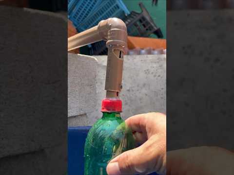 Boia caseira de