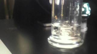 Toro Swiss Army Trash Catcher Dabbs