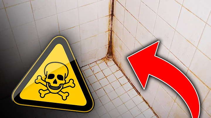 9 Signs You Have Toxic Mold In Your Home