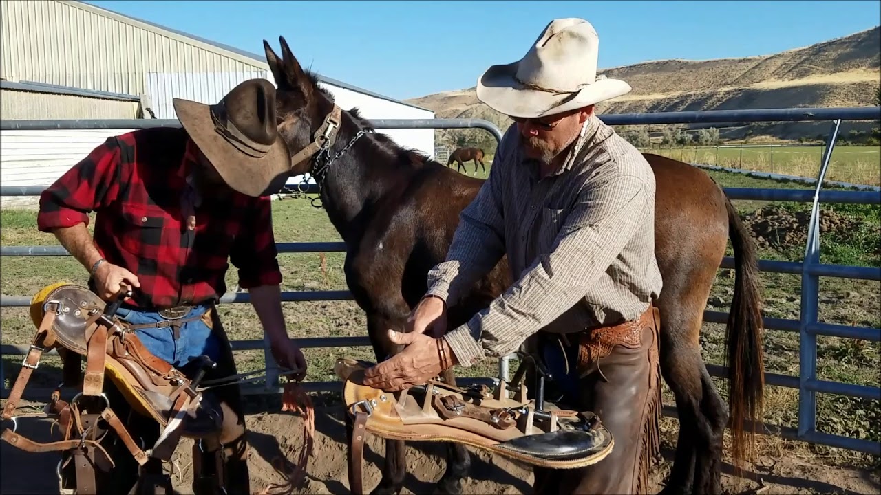 Outfitters Pack Station YouTube