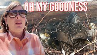 I Am Completely In Shock By What She Just Did! (WOW) screenshot 5