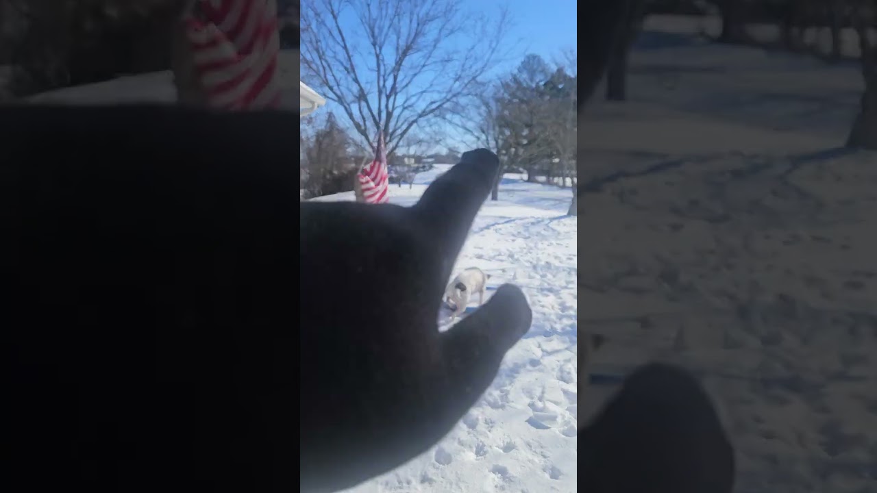 Day after snow storm of 2026 and road update 