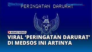 Arti Gambar Garuda Berlatar Biru dan 'Peringatan Darurat' yang Viral di Media Sosial