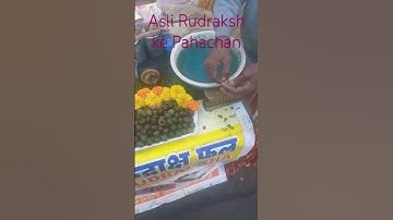 रुद्राक्ष की पहचान कैसे करे #rudraksha #mahadev #mahakal #viral #trending #shorts