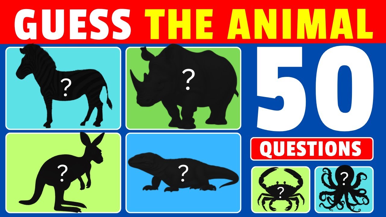 Can You Guess the Animal by Its Shadow? | ANIMAL QUIZ 🐾 🐒🐢🦒🌞 - YouTube