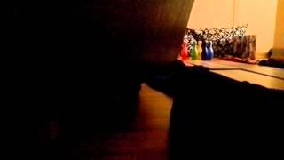 Half scale bowling 6