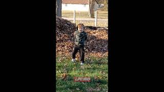 Boy hides in giant pile of leaves