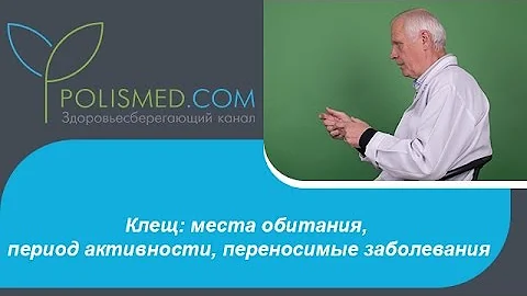 Клещ: места обитания, период активности, переносимые заболевания
