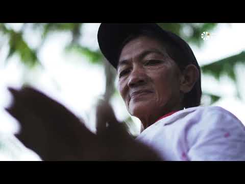 PowerOfGold Episode 2 Behind The Glitter Of Gold Mercury S Deadly Threat