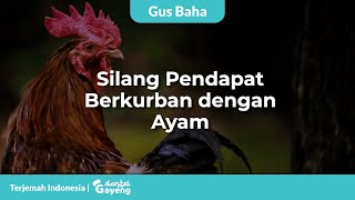 Silang Pendapat Berqurban dengan Ayam | Gus Baha