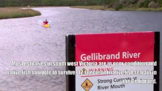 Going Upstream Gellibrand River Adventure Stage 1 Wealth